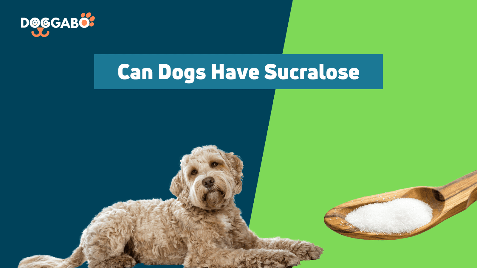 Can Dog Have Sucralose