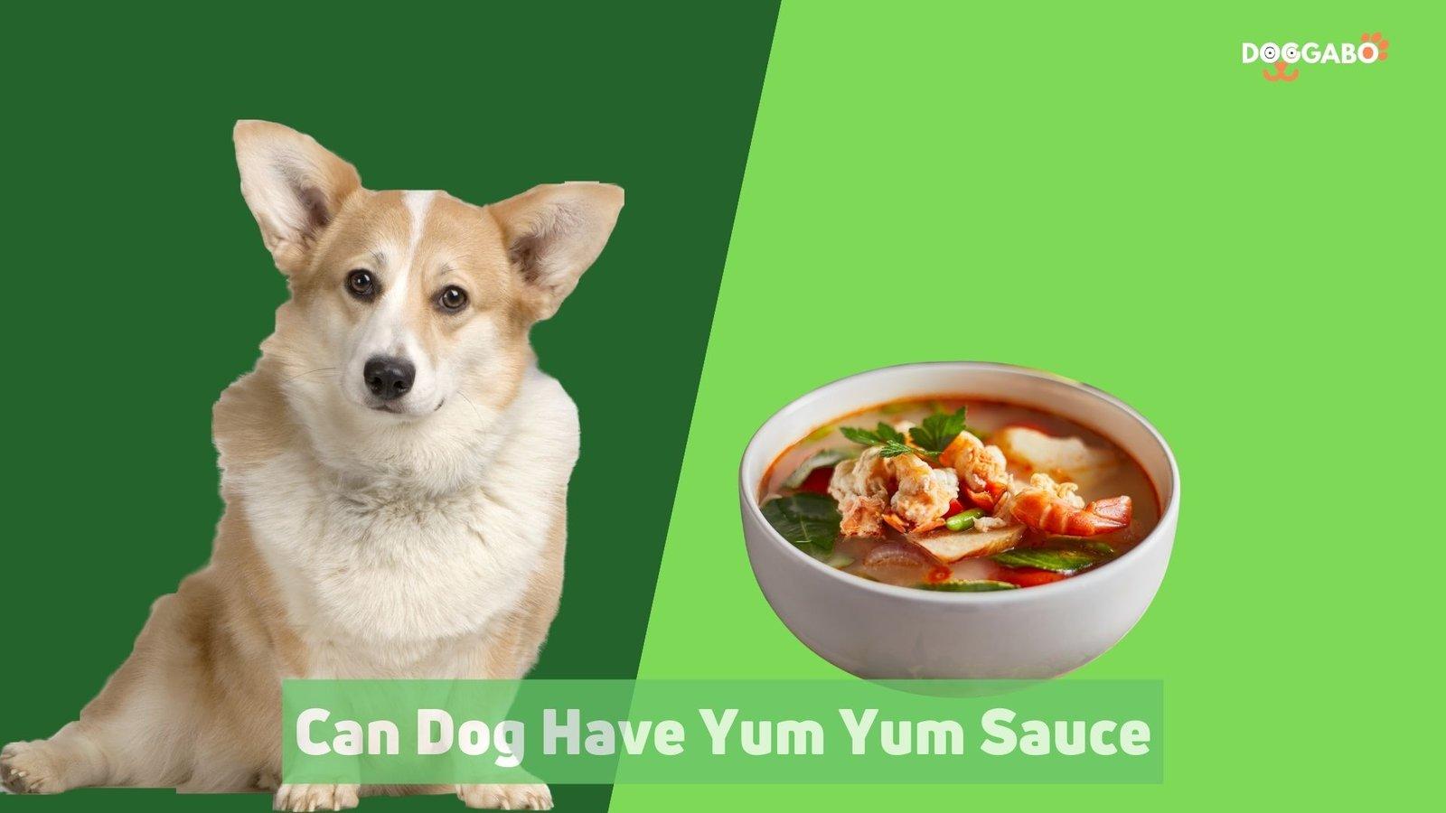 Can Dogs Have Yum Yum Sauce