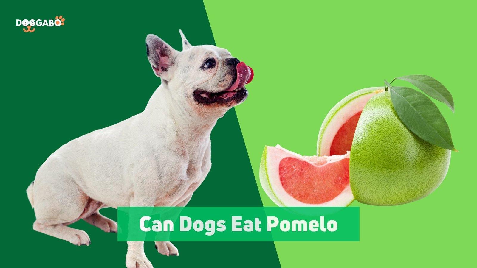 Can Dogs Eat Pomelo