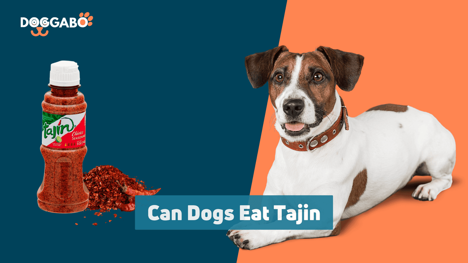 Can Dogs Eat Tajin