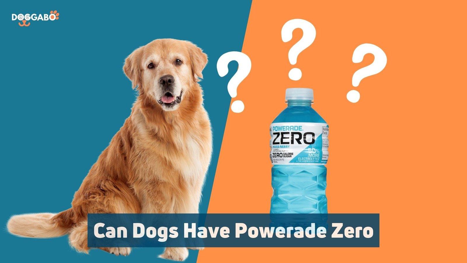 Can Dogs Have Powerade Zero
