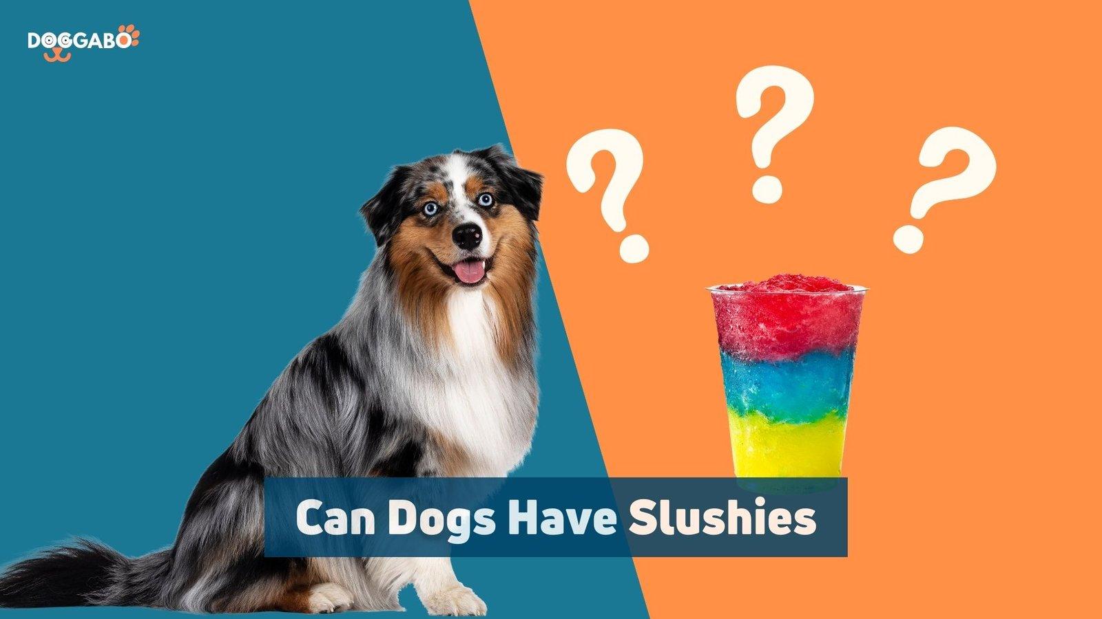Can Dogs Have Slushies