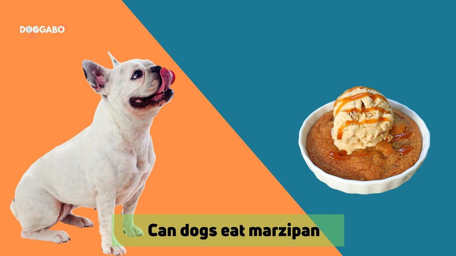 Can Dogs Eat Marzipan